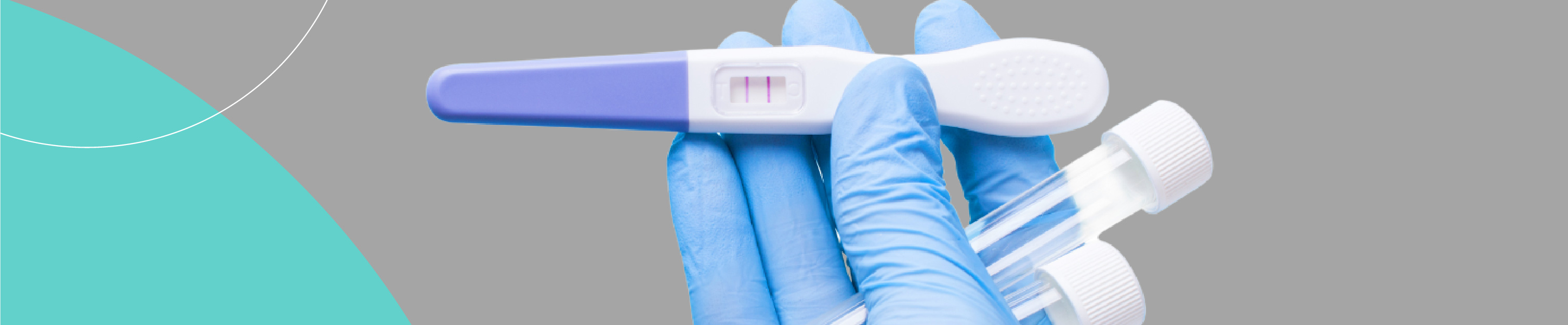 Inseminação Artificial
